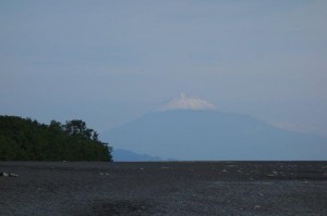 三保の松原からの富士山       